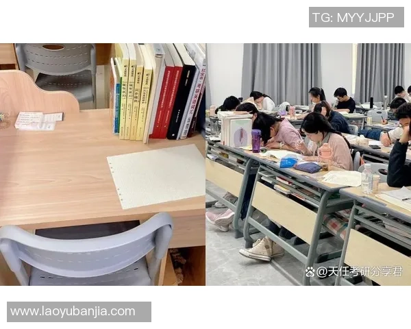 黄娜独家分享排球心得与技巧助你提升球技的全面指南